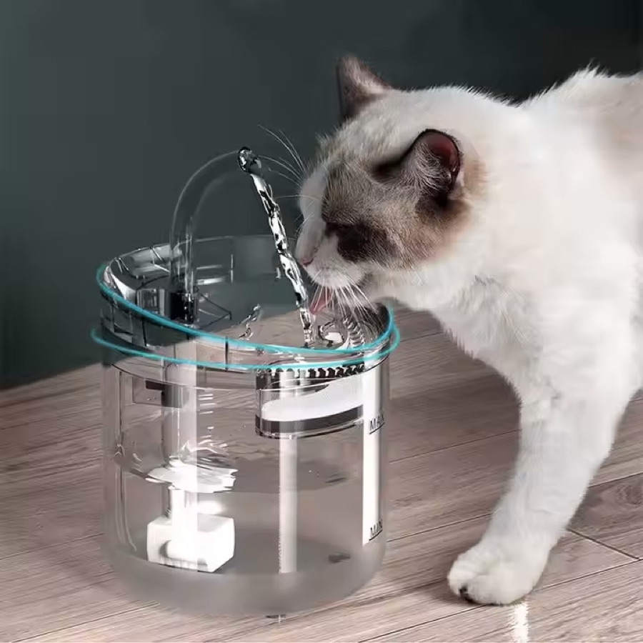 Fountains & feeders