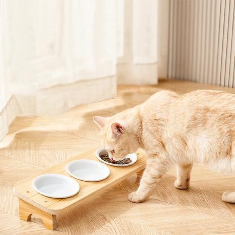 Ceramic bowls (wood lid)